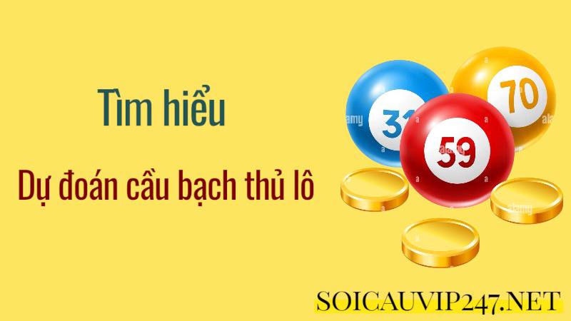dự đoán cầu bạch thủ lô 