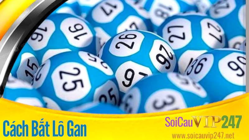 cách bắt lô gan