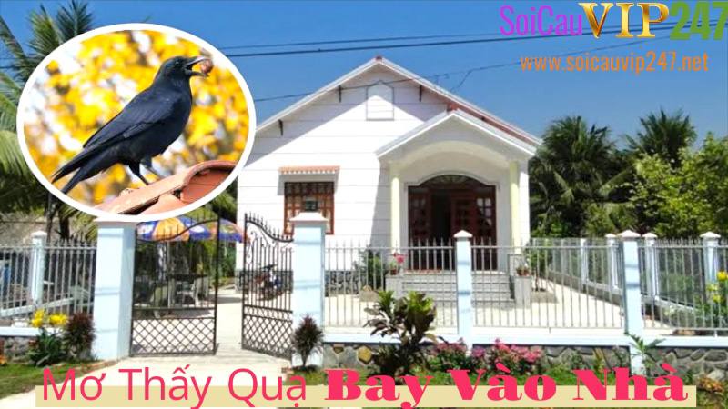 mơ thấy quạ bay vào nhà